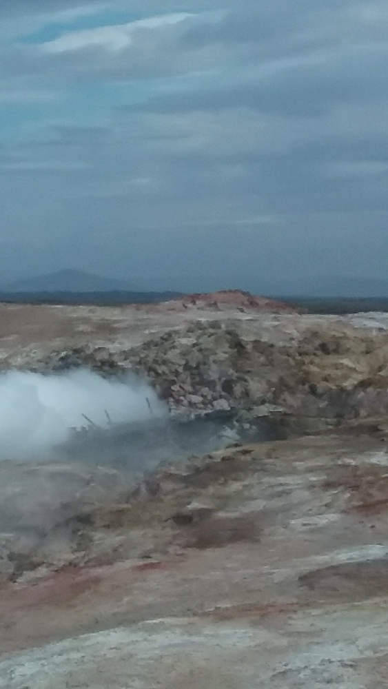 Geyser in Iceland